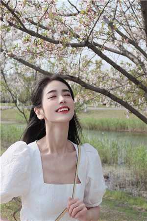 谢尽长安花潜心更新免费全章节在线阅读有声小说