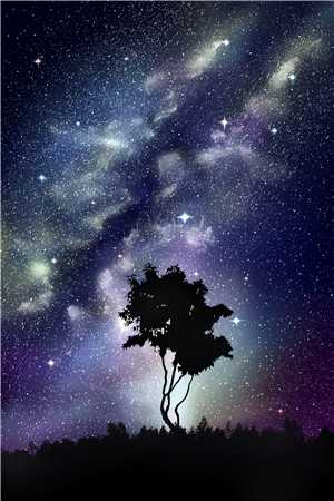 洞房夜捉奸当场改嫁阴鸷世子姚若兰赵恒纪云舒彩蛋免费小说全本小说笔趣阁完整版免费阅读