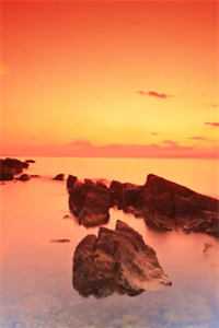 人面桃花长相忆阮雾梨闻砚辞全文阅读下载百度云免费小说