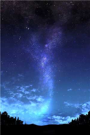 假千金撞断我的腿，全家包庇她后悔疯了顾珍季博初完结版免费在线阅读