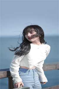 影后妻子羞辱我后，又来跪求复婚秦风陆晓薇完结版免费阅读全本在线