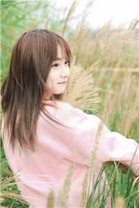 梧桐秋色里看你沈若璃盛奕年抖音小说全本阅读全章节阅读听书