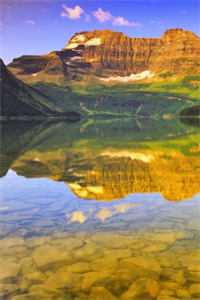 白首无悔坠梦楼沈修文陆知意全集完整版在线免费阅读小说