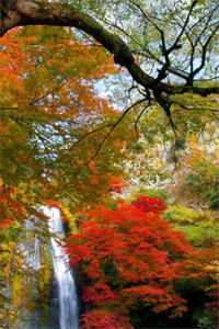 全本辜负真心后，我的报应来了：+后续+结局最新章节列表_全本辜负真心后，我的报应来了：+后续+结局全文阅读在线最新免费小说在线阅读全集听书