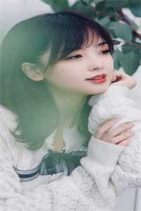 重生在高考前，我笑着送小青梅和小混混去庆祝成人礼乔念沈晏安全文在线阅读听书全集在线阅读小说