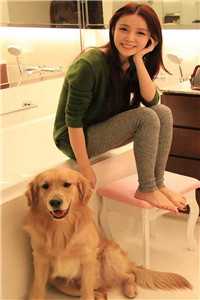 前尘如烟散，新梦似潮生季临川沈清琳完整版小说免费阅读全文免费阅读_