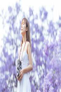 且听风声萧萧沈辞安乔青绾全集小说在线阅读完结版免费阅读