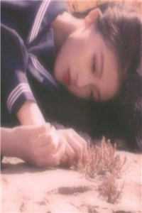 名媛蜜恋：+后续+结局免费阅读无弹窗大结局_名媛蜜恋完本小说全章节阅读在线最新抖音小说全文阅读完整版txt在线阅读