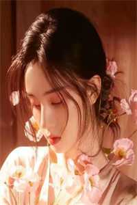 惊鸿不负，爱恨皆落幕傅云京白沐雪全章节在线阅读