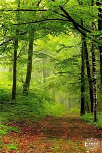 丈夫给助理单点一碗粥后,我果断离婚江迟叙许浣星最新章节免费在线阅读