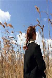 和替婚养子结婚后，京圈小公主悔疯了江嘉柔秦恺泽全本免费在线阅读抖音小说全本