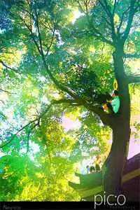 哨兵个个追着我绑定，说我超良心！白希薇池墨景完整版免费在线阅读完结版免费阅读