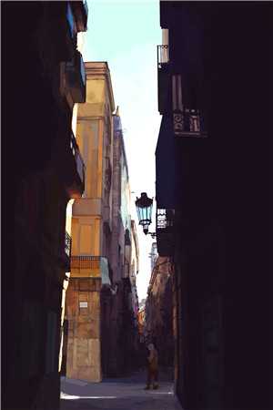 救命！天之骄子非要和我贴贴温莳江鹤川免费小说免费完本小说在线阅读