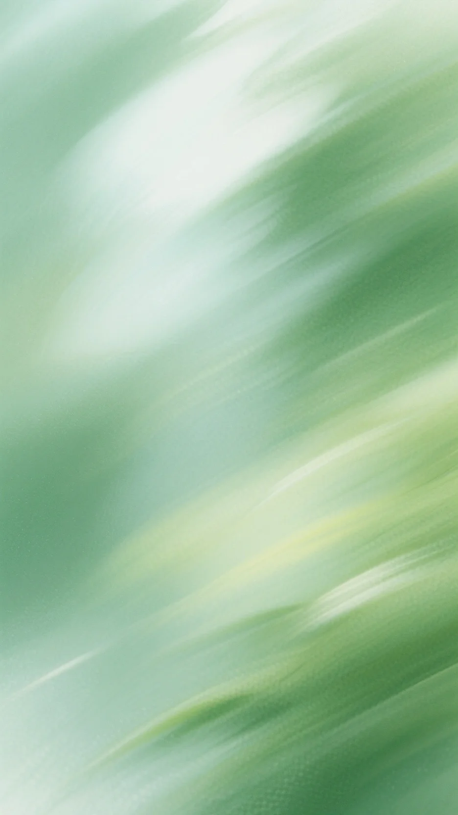 春不见，明月思成雪傅北辰阮莹莹小说在线免费阅读无广告弹窗