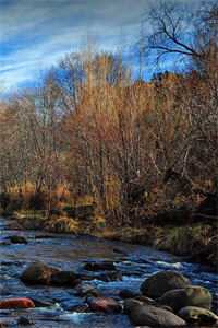 完整篇章重生撩夫:偏执老公心肝狂颤