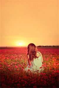 随身淘宝：皇家小地主完整阅读